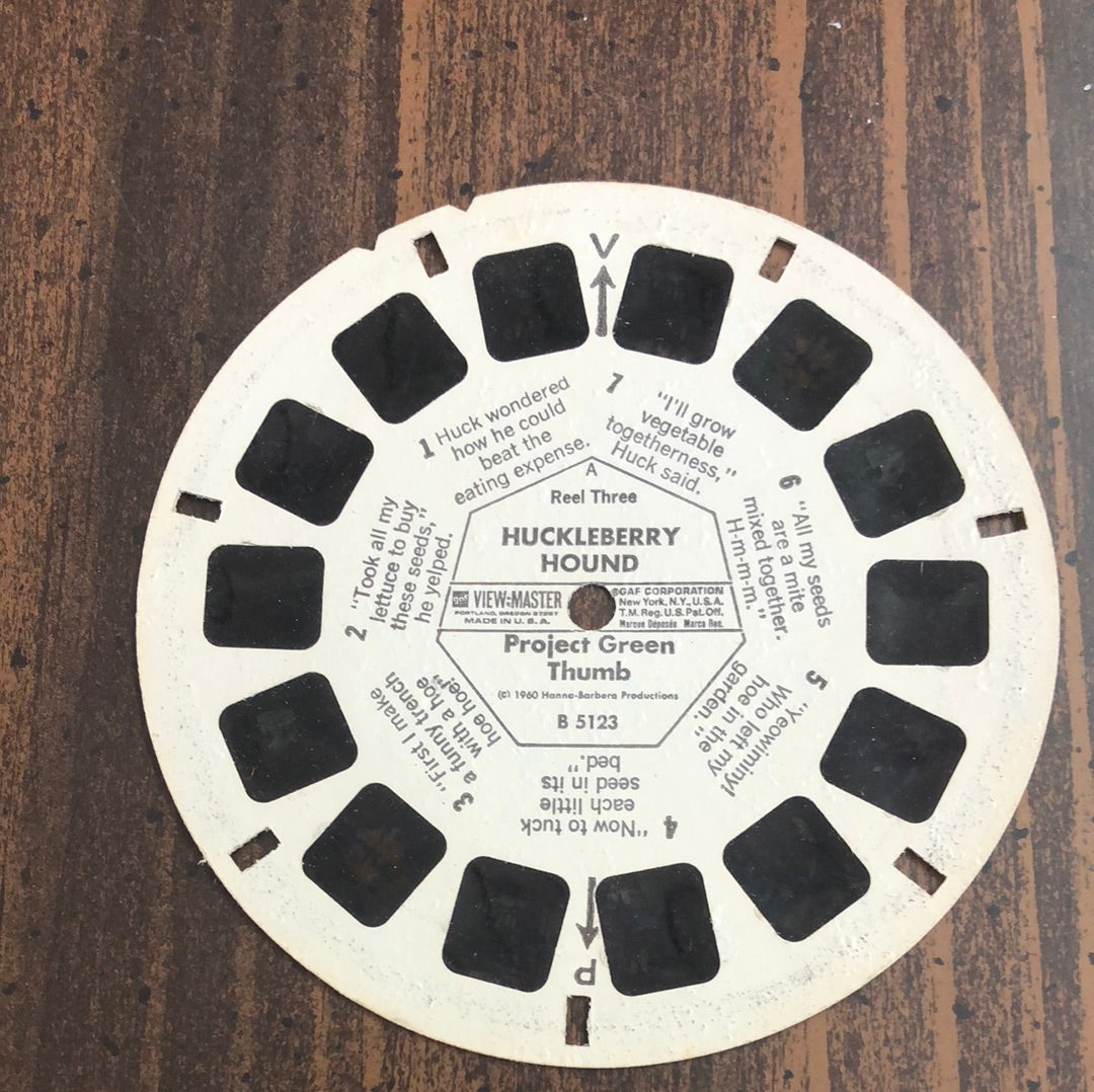 View-Master with Slides