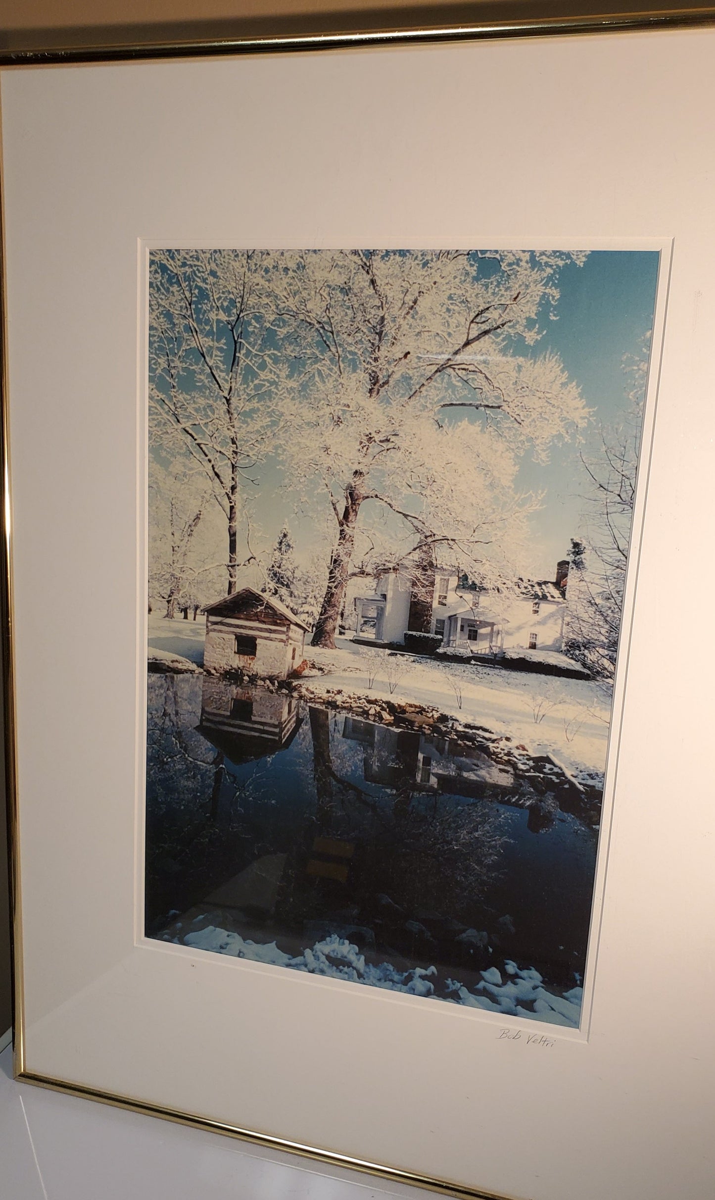 Winter Scene