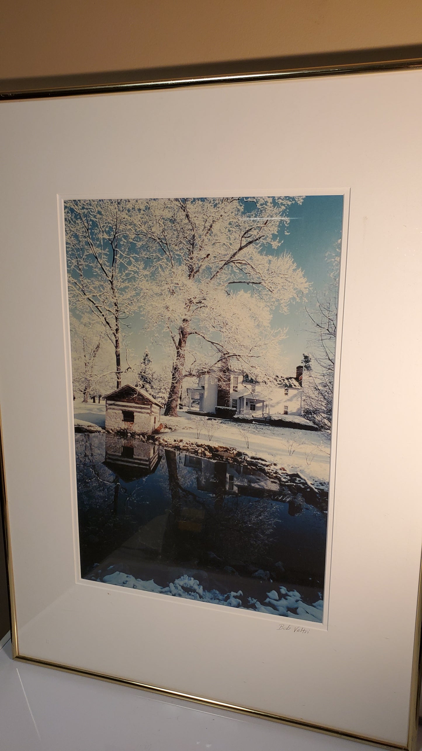 Winter Scene