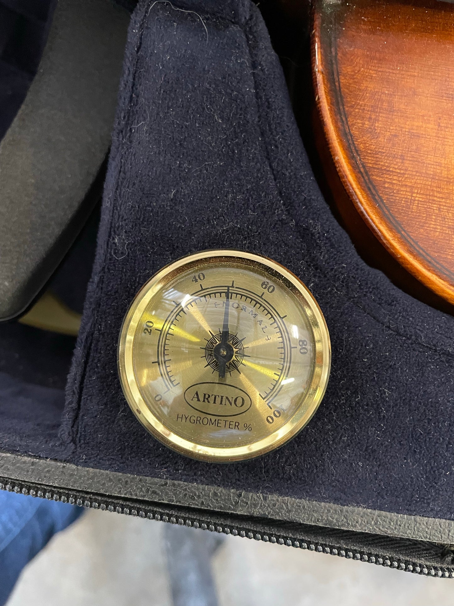 Giuseppe Rinaldi "Vintage Style" Violin