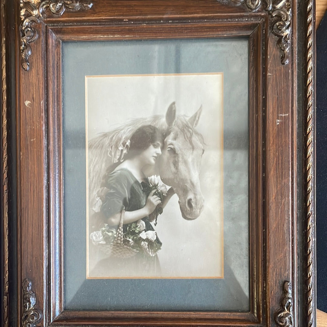 Antique Equine Art Set of 2 Postcards